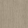 Biscotti Grey